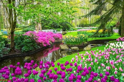 Mua file gốc File tranh phong cảnh thiên nhiên PCN1897 (chất lượng) tại Filetranh.com