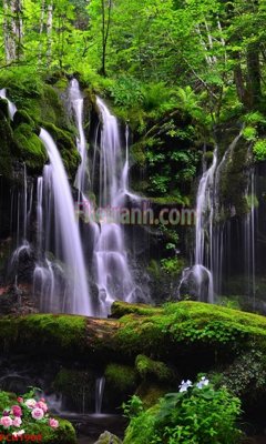 Download file tranh PSD File tranh phong cảnh thiên nhiên PCN1904 để chỉnh sửa