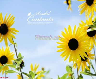 File gốc File tranh phong cảnh thiên nhiên PCN1911 (thiết kế) cho in ấn