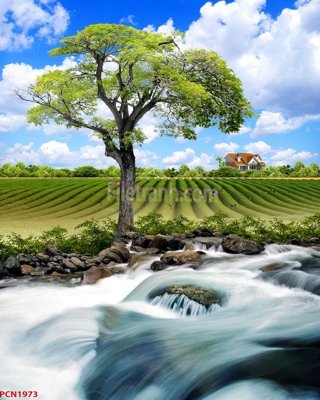 Download file File tranh phong cảnh thiên nhiên PCN1973 (chuẩn in) chất lượng cao