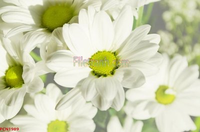 Tải file File tranh phong cảnh thiên nhiên PCN1989 (PSD) cho in tranh 3D