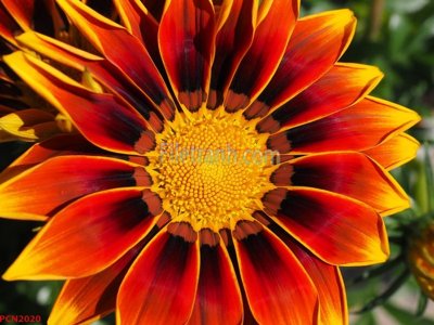 File in ấn File tranh phong cảnh thiên nhiên PCN2020 chuyên nghiệp