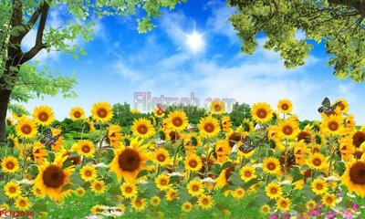 Tải file gốc File tranh phong cảnh thiên nhiên PCN2036 (bản PSD) gốc