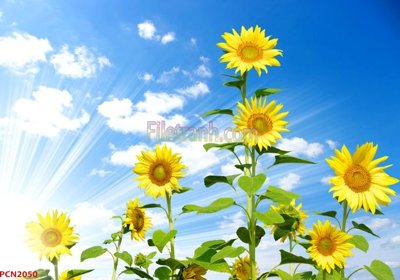 Download file gốc File tranh phong cảnh thiên nhiên PCN2050 (in mica) trong suốt