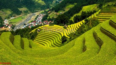 Hình ảnh file gốc in lụa File tranh phong cảnh thiên nhiên PCN2085