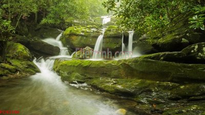 File in trần File tranh phong cảnh thiên nhiên PCN2100 (bản gốc 3D) sống động