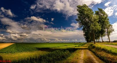 Tải file File tranh phong cảnh thiên nhiên PCN2104 (gốc) in nhanh