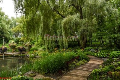 File gốc File tranh phong cảnh thiên nhiên PCN2115 (in 3D) nghệ thuật