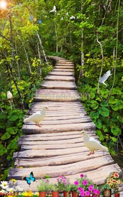 File in ấn File tranh phong cảnh thiên nhiên PCN213 chuyên nghiệp