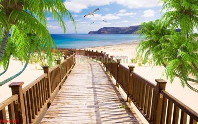 File gốc File tranh phong cảnh thiên nhiên PCN2161 (in ấn) không giới hạn