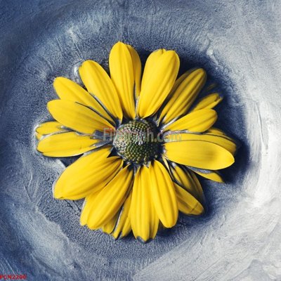 File gốc File tranh phong cảnh thiên nhiên PCN2200 (in lụa) hoa văn cổ điển