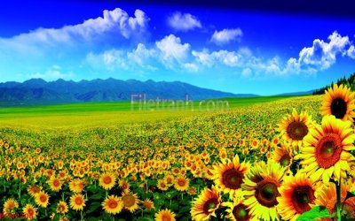 Tải file File tranh phong cảnh thiên nhiên PCN2208 (gốc) chủ đề hoa sen