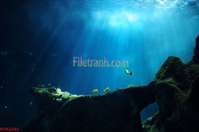 File tranh File tranh phong cảnh thiên nhiên PCN2242 (bản gốc) treo phòng ăn