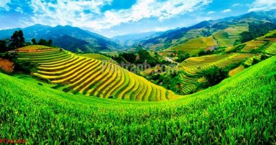 File tranh File tranh phong cảnh thiên nhiên PCN2259 (gốc) chủ đề trừu tượng