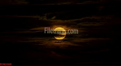 File tranh File tranh phong cảnh thiên nhiên PCN2269 (bản gốc) in lụa dán tường