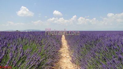 Tải file File tranh phong cảnh thiên nhiên PCN2295 (gốc) chủ đề tâm linh