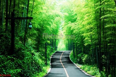 File gốc in ấn File tranh phong cảnh thiên nhiên PCN2358 chuẩn màu CMYK