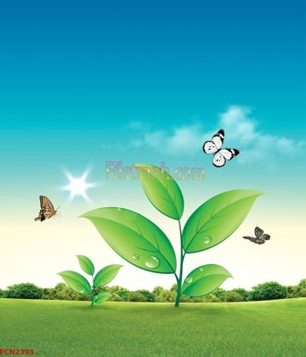 File tranh in trần File tranh phong cảnh thiên nhiên PCN2393 (ảnh gốc siêu nét)