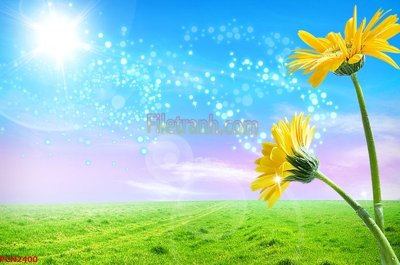 File gốc File tranh phong cảnh thiên nhiên PCN2400 (cho in ấn) từ kho Filetranh