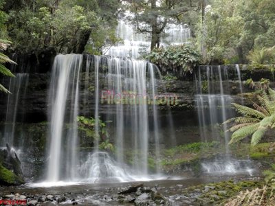 Tải file tranh gốc File tranh phong cảnh thiên nhiên PCN2459 chất lượng cao