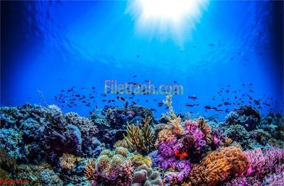 File tranh in trần File tranh phong cảnh thiên nhiên PCN2470 (ảnh gốc siêu nét)