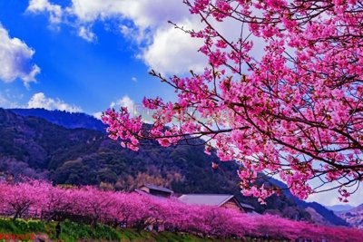 Ảnh gốc File tranh phong cảnh thiên nhiên PCN2472 (độ nét cao) in mica