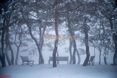 File tranh File tranh phong cảnh thiên nhiên PCN2477 (ảnh gốc) độ nét vượt trội