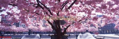 File gốc File tranh phong cảnh thiên nhiên PCN2490 (in lụa) cao cấp