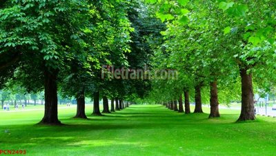 Tải file File tranh phong cảnh thiên nhiên PCN2493 (ảnh gốc) in gạch 3D