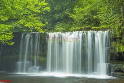 Tệp tin gốc File tranh phong cảnh thiên nhiên PCN2499 (dùng cho in ấn) chuyên nghiệp