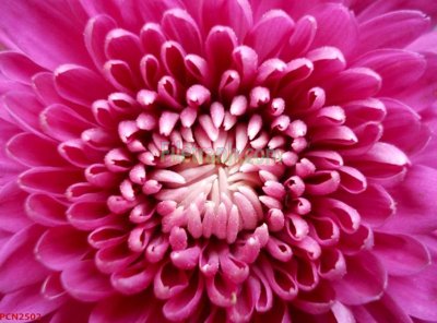 Tải file File tranh phong cảnh thiên nhiên PCN2502 (PSD) cho in tranh kính