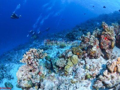 File ảnh File tranh phong cảnh thiên nhiên PCN2506 (gốc) cho trang trí nội thất