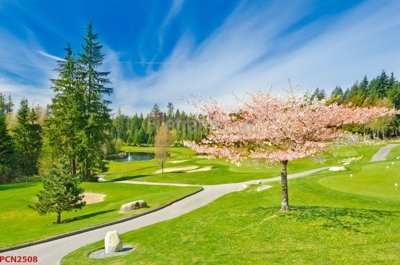 File gốc in ấn File tranh phong cảnh thiên nhiên PCN2508 chất lượng vượt trội