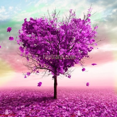 File tranh File tranh phong cảnh thiên nhiên PCN2515 (ảnh gốc) sắc nét hoàn hảo