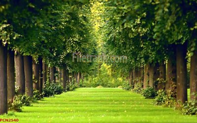 File tranh gốc in trần nhà File tranh phong cảnh thiên nhiên PCN2540 3D