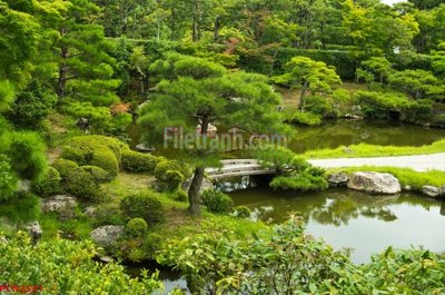 File gốc File tranh phong cảnh thiên nhiên PCN2541 (in lụa) trang trí tường