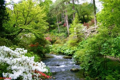 File tranh File tranh phong cảnh thiên nhiên PCN2566 (gốc) in trên kính