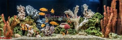 File gốc File tranh phong cảnh thiên nhiên PCN2591 (cho in ấn) từ kho Filetranh