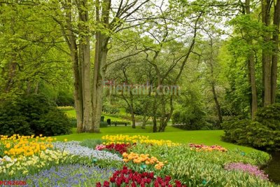 Tải file File tranh phong cảnh thiên nhiên PCN2606 (gốc) chủ đề hoa sen