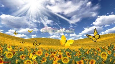 Tải file File tranh phong cảnh thiên nhiên PCN2617 (gốc) làm file thiết kế