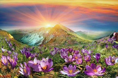 File tranh File tranh phong cảnh thiên nhiên PCN2619 (gốc) chủ đề tĩnh vật