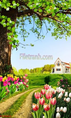 File ảnh File tranh phong cảnh thiên nhiên PCN263 (gốc) in PP, decal