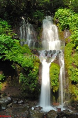 Tải file File tranh phong cảnh thiên nhiên PCN2634 (gốc) làm file tranh quảng cáo