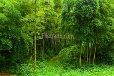 File gốc File tranh phong cảnh thiên nhiên PCN2640 (dành cho quảng cáo)