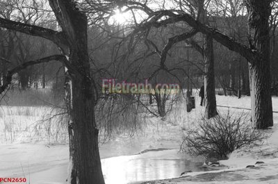 File tranh File tranh phong cảnh thiên nhiên PCN2650 (ảnh gốc) in trần 3D