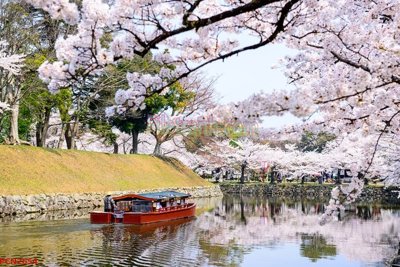 Tải file File tranh phong cảnh thiên nhiên PCN2654 (gốc) in tranh tráng gương