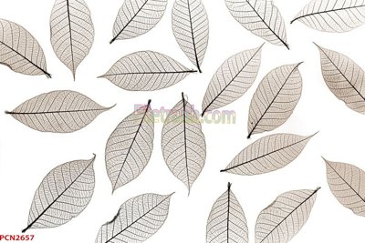 File tranh quảng cáo File tranh phong cảnh thiên nhiên PCN2657 (file gốc) chuyên nghiệp