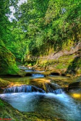 File gốc File tranh phong cảnh thiên nhiên PCN2676 (PNG) nền trong suốt