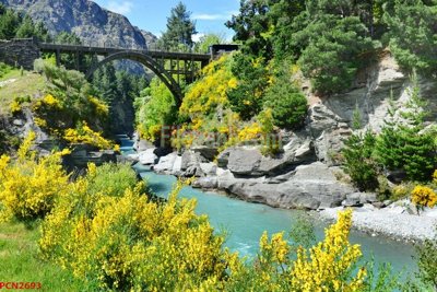 File in ấn File tranh phong cảnh thiên nhiên PCN2693 (bản gốc) chất lượng cao