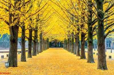 File gốc File tranh phong cảnh thiên nhiên PCN2697 (trang trí) phòng ngủ